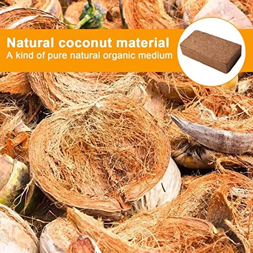 TLM Toys Coconut Coir Brick, Coco Fiber Castings Expandable Plant Hydroponic Soil Substrate Media Bricks Blocks for Garden Berries Planting Seedling, Potting Soil for Plants Flowers Herbs - Image 3