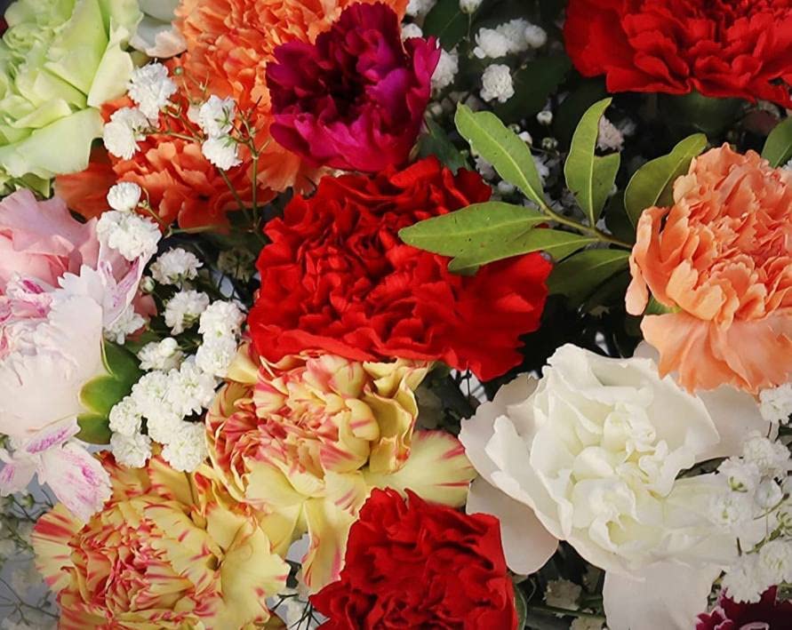 SPRING PARTY - Fresh Flower Delivery Next Working Day - Free UK Shipping - Thank You - Birthday - Congratulations - Get Well Soon - Best Gift - Fresh Bouquet - Anniversary - Image 3