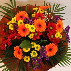 Autumn Burn Bouquet, Prime/Fresh Flowers Delivered/Next Day Free UK Delivery/Special Offer/Autumn Burn Bouquet is A Lovely Gift for All Occasion./Low Price/
