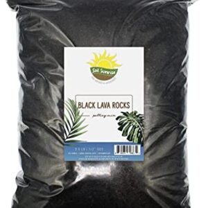 Black Lava Rocks - for Aquariums, Terrarium, Soil Additive Or Topping for Bonsai, Succulents, Orchid Plants - 3.5 LBS - 1/2" - 1" Sizes