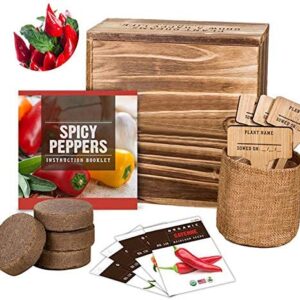 Bonsai Seed Starter Kit, Mini Bonsai Garden Starter Kit, 4 Types Of Seeds, DIY Plant Growing Set, Wood Gift Box, Indoor Garden Gifts With Potting Soil, Pots, Pruning Shears Scissor Tool, Plant Markers