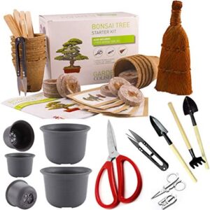 Bonsai Tree KIT - Grow Your OWN Bonsai Trees. Gift Set - Big Premium Quality KIT - Big Value Pack, Seed Germination Starter Kit with 6 Seed Species. Includes 7 Superior Bonsai Tools and 5 Bonsai pots