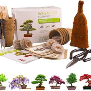 Bonsai Tree KIT - Grow Your OWN Bonsai Trees from Seeds - Gardening Gift Set - Premium Quality KIT - Big Value Pack, Seed Germination Starter Kit with 6 Seed Species. Includes 3 Superior Bonzai Tools