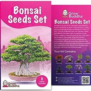Bonsai Tree Seeds Gift Set by Grow Buddha - Grow Your Own Bonsai Tree Easily with Our 8 Bonsai Tree Seeds Set. Beginner to Expert Level - Unique Seeds Kit Gift Idea