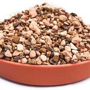 Bonsai Tree Soil Mix - Akadama, Pumice, Molar & Lava Rock Potting Blend - 3 Litres