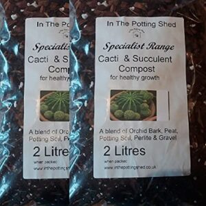 Cactus Compost 2 litres (2)