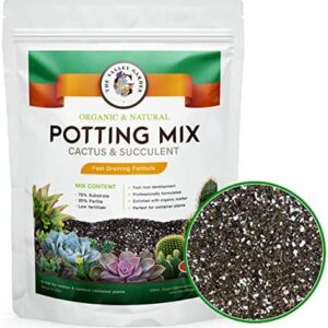 Cactus and Succulent Soil Mix (4 Quarts)