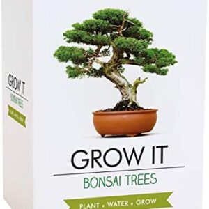 Gift Republic GR200006 : Grow It. Grow Your Own Bonsai Trees, 12.0 cm*12.0 cm*12.0 cm