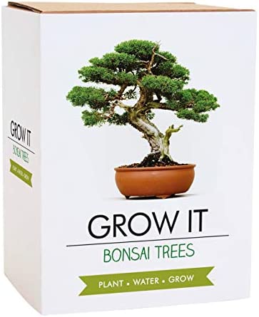 Gift Republic GR200006 : Grow It. Grow Your Own Bonsai Trees, 12.0 cm*12.0 cm*12.0 cm