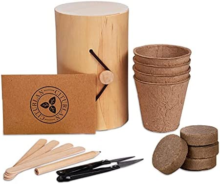 Grow Your Own Indoor Garden Seed Growing Kit Gardening Set Gardening Indoor Or Outdoor Pots Kids Gardening Set Easy For Novices To Grow 4 Plant Markers Pruner Scissors Trimmer Set Pulp Cup Pencil