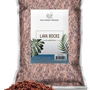Horticultural Red/Maroon Lava Rock Soil Additive for Bonsai, Succulents, Cacti, Plants - No Artificial Colors - 100% Pure Volcanic Rock 2QT