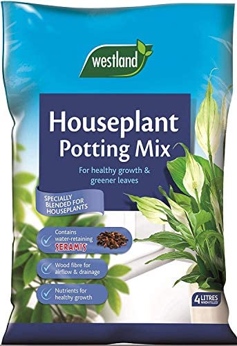 Houseplant Potting Mix (Enriched with Seramis)