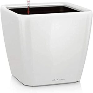 LECHUZA QUADRO LS 50 Self Watering Planter Large Garden Flower Plant Pot Indoor/Outdoor Floor Planter with Drainage Hole and Plant Substrate Poly Resin H47 L50 W50 cm White High-Gloss