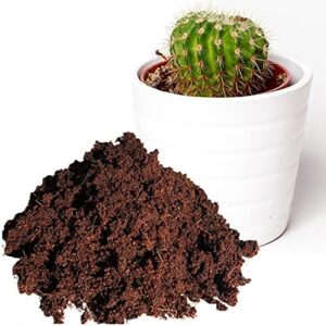 Mokuzai PureGrow® Cactus & Succulent Soil - 11 Litres Pure Peat Free Cactus Potting Compost Soil - Hydrate at Home