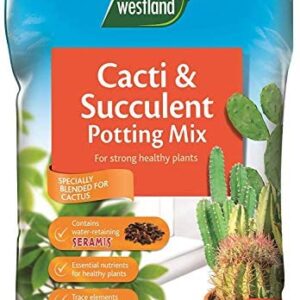 Online Garden Centre Cacti/Succulent Potting Compost Mix and Enriched with Seramis (20 Litre)