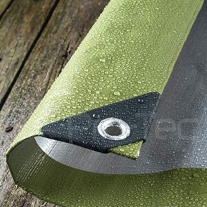 Pro-Tec Garden Products Green Tarpaulin 200gsm Heavy Duty Waterproof Ground Sheet Tarp Cover Camping (6ft X 8ft - Green/Silver)
