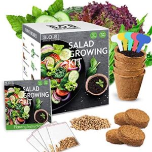 Roseenursery Salad Starter Kit-4 Kinds of Bonsai Vegetable Gardening Growing Kits, Creative Gifts for Indoor Planting Plants