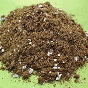Succulent & Cactus Potting Soil Mix Peat Moss & Perlite (½ Gallon, 2 quarts)