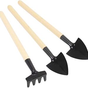 TRIXES 3 Piece Mini Garden Tool Set - Miniature Gardening Rake, Trowel and Shovel - For Seedlings, Bonsai, Succulents, Herbs, Terrariums and Planting - Wooden Handle Kit
