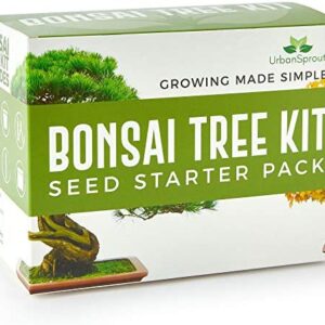 Urban Sprout Bonsai Tree Kit - Grow Your Own Bonsai Trees from Seed - Sustainable Eco Gardening Gift Set with 5 Bonzai Seed Varieties and Bonzie Starter kit Tools