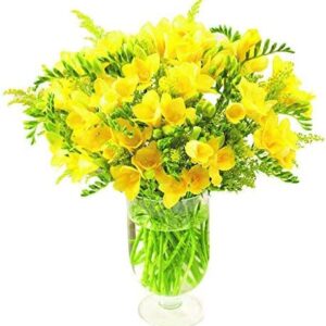 Yellow Freesia Bouquet and Chocolates Comes With Our 8 Day Freshness Guarantee.