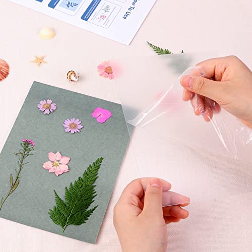 33 Pieces Sun Print Paper Cyanotype Paper Kit, A5 Solar Drawing Paper Sensitivity Sun Print Nature Printing Paper for DIY Arts Crafts Projects, White(5.8 x 8.3 Inch) - Image 5