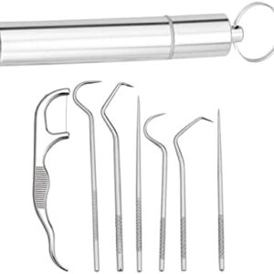 Colcolo 304 Stainless Steel Pick Set, Portable Oral Cleaning Kit Picks Cleaner for Traveling Camping Picnic with Box Holder, 7Pcs Kit
