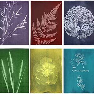 Gukasxi 24 Sheet Cyanotype Paper High Sensitivity Sun Print Nature Printing Paper(6 Colors) 8.3'' x 11.7'' Cyanotype Paper Solar Drawing Paper for Kids and Adults to Arts, Crafts, DIY Projects