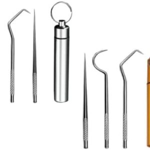 2 Set/ 6Pcs Pocket Toothpick Holder Keychain Toothpicks Set Titanium Toothpick Cleaning Tooth Hook Scraper Metal Toothpick Holder Dental Picks for Camping Picnic Outdoor