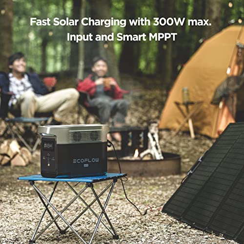 EF EcoFlow DELTA mini 882Wh Portable Power Station, Power up to 9 Appliances With Huge 1400W AC Output, Fast Charging, Solar Generator Made for Outdoor Power, Ideal for Camping or Travel - Image 6
