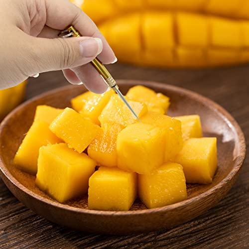 2Pcs Portable Titanium Toothpicks Metal Toothpick with Protective Holder Key Ring Fruit Stick Stainless Steel Toothpicks for Outdoor Picnic and Camping (Brass) - Image 4