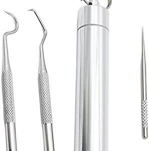 Colcolo 304 Stainless Steel Pick Set, Portable Oral Cleaning Kit Picks Cleaner for Traveling Camping Picnic with Box Holder, 3Pcs Large Kit