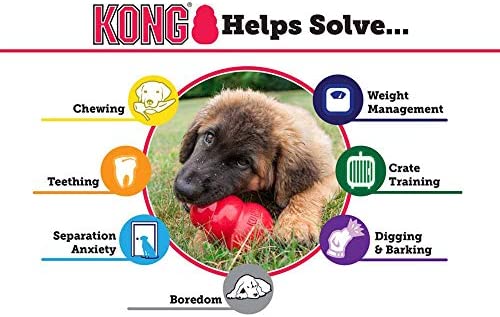 KONG - Extreme Dog Toy - Toughest Natural Rubber, Black - Fun to Chew, Chase and Fetch - For Small Dogs - Image 3