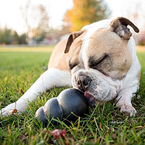 KONG - Extreme Dog Toy - Toughest Natural Rubber, Black - Fun to Chew, Chase and Fetch - For Small Dogs - Image 5