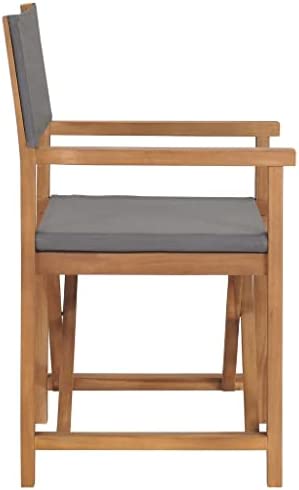 vidaXL 2x Solid Wood Teak Director's Chairs Outdoor Furniture Seating Camping Balcony Garden Seat Foldable Wooden Director's Chair Blue - Image 9