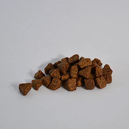 Skinner's Field & Trial Complete Dry Hypoallergenic Puppy Food Duck and Rice, 2.5 kg - Image 5