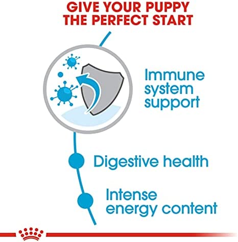 Royal Canin Mini Puppy Dry Puppy Food 2kg - Image 3
