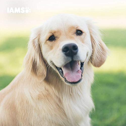 Other Iams Vitality Puppy Small & Medium Dog Food With Fresh Chicken 2kg, clear - Image 7