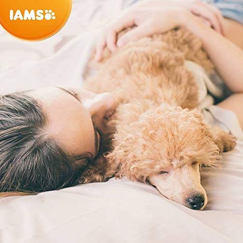 Other Iams Vitality Puppy Small & Medium Dog Food With Fresh Chicken 2kg, clear - Image 6