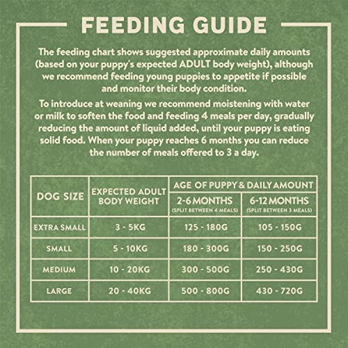 Harringtons Complete Dry Puppy Food Turkey & Rice 10kg - Made with All Natural Ingredients - Image 6