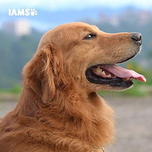 Other Iams Vitality Puppy Small & Medium Dog Food With Fresh Chicken 2kg, clear - Image 8