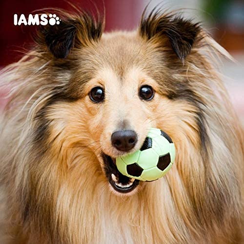 Other Iams Vitality Puppy Small & Medium Dog Food With Fresh Chicken 2kg, clear - Image 9