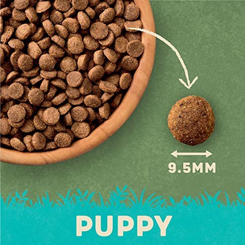 Harringtons Complete Dry Puppy Food Turkey & Rice 10kg - Made with All Natural Ingredients - Image 7