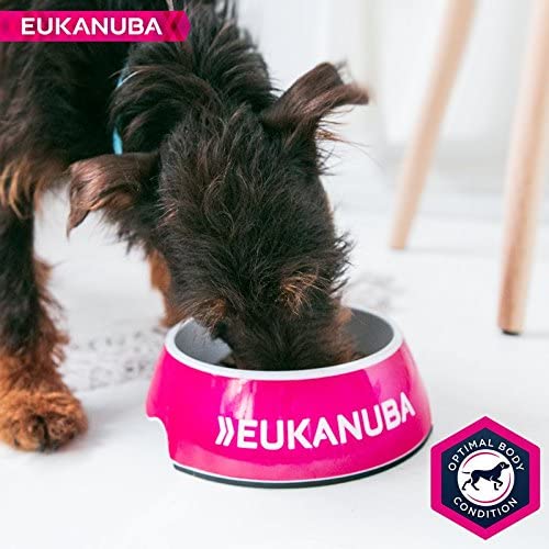 Eukanuba Puppy Dog Food for Small Dogs Rich in Fresh Chicken for the Optimal Body Condition of Your Dog, 3 kg - Image 4