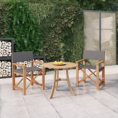 vidaXL 2x Solid Wood Teak Director's Chairs Outdoor Furniture Seating Camping Balcony Garden Seat Foldable Wooden Director's Chair Blue - Image 4