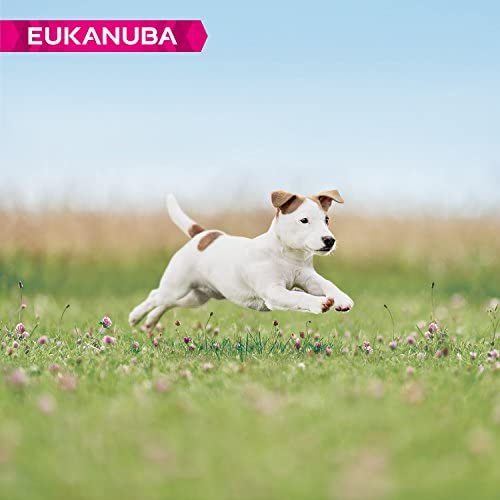 Eukanuba Puppy Dog Food for Small Dogs Rich in Fresh Chicken for the Optimal Body Condition of Your Dog, 3 kg - Image 3