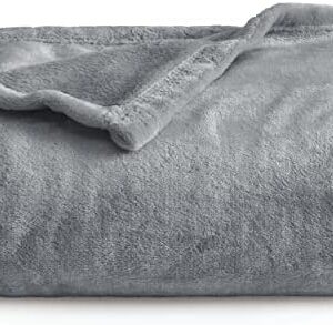 Bedsure Fleece Blanket Sofa Throw - Versatile Blanket Fluffy Soft Throw for Bed and Couch Travel / Single, Silver Grey, 130x150cm