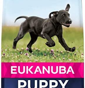 Eukanuba Puppy/Junior Dry Dog Food Large Breed Chicken, 15 kg