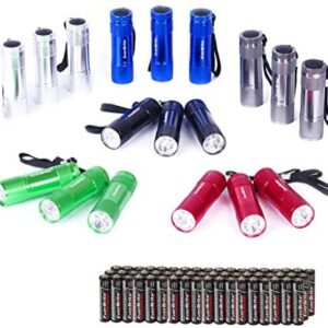 EverBrite 18-Pack LED Mini Pocket Torch, Small Keyring Torches Flashlight, Ideal for Kids Camping Hiking Traveling Cycling Outdoors Party, Batteries Included