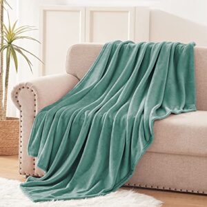 Exclusivo Mezcla 127 x 178 CM Flannel Fleece Soft Throw Blanket for Settees/Sofa/Chairs/Couch - Lightweight, Warm and Cozy Celadon
